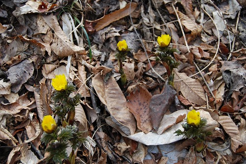 c0124100_13164489.jpg