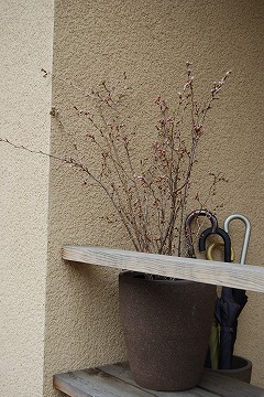 c0124100_13173821.jpg