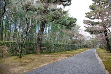 c0184800_17512.jpg