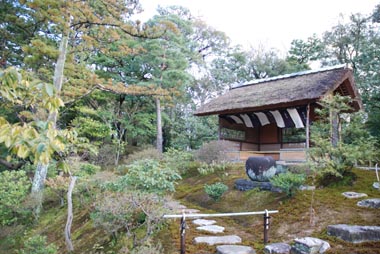 c0184800_1755041.jpg