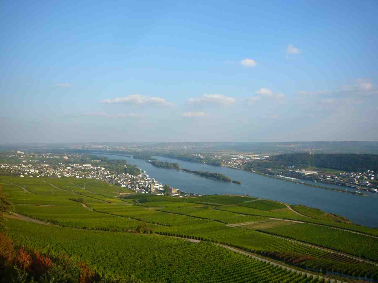 a0116902_15542148.jpg