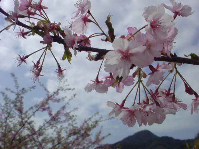 c0122007_12143497.jpg