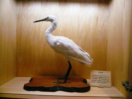e0148907_001556.jpg