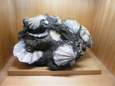 e0148907_23593066.jpg