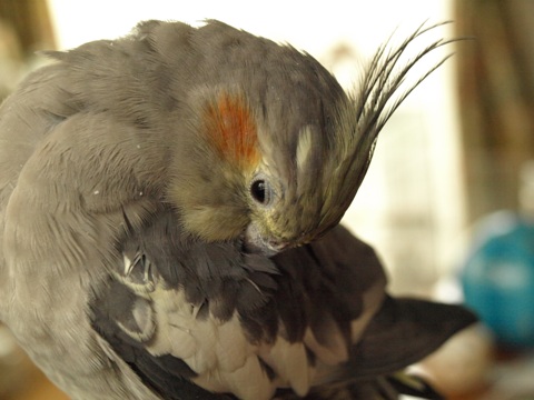 b0026408_0450100.jpg
