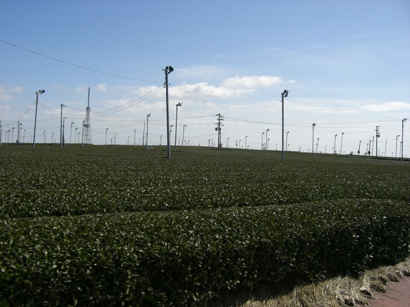 f0169012_0473846.jpg