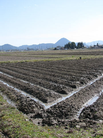 三上山ー近江富士_e0048413_225587.jpg