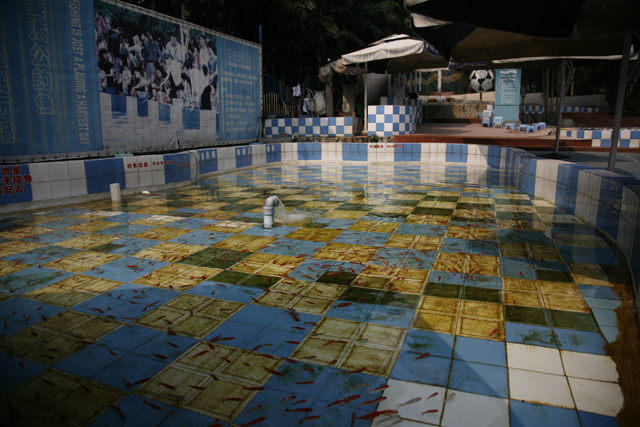 f0118214_17252538.jpg