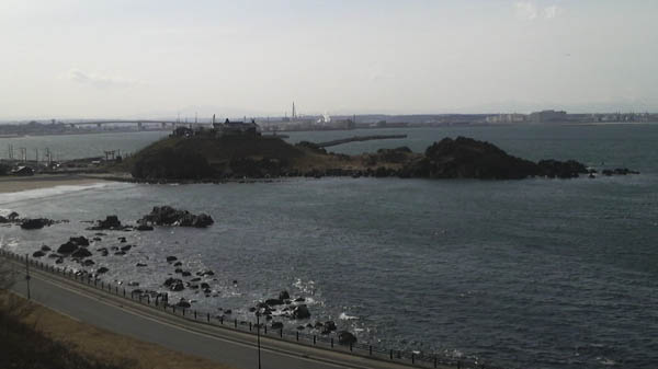 青森県八戸・蕪島_d0091416_10384361.jpg