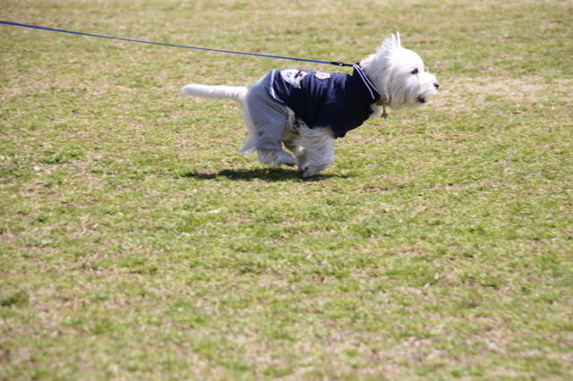 王子、幕張に現る！＆みんなで夜ごはん♪＜前編＞_b0120217_22514035.jpg