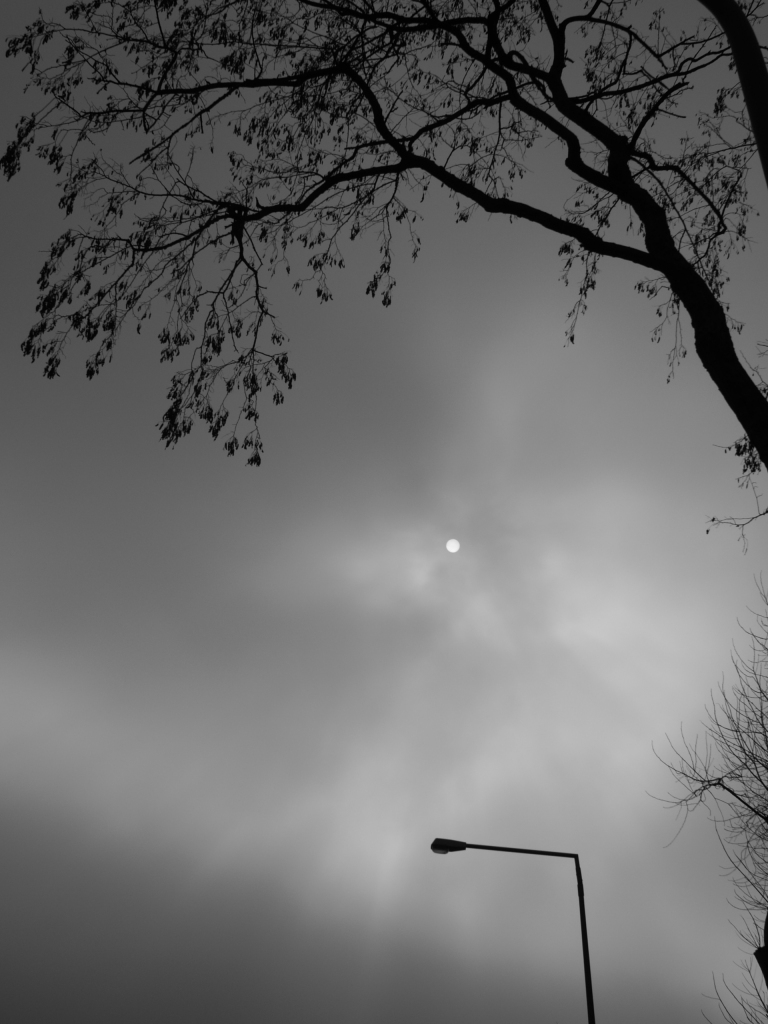 b0148617_3393618.jpg