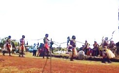 a0043520_0171074.jpg