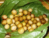 a0043520_8343690.jpg
