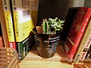 c0087320_20551520.jpg