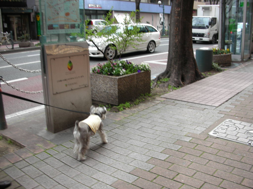 2009.3.9　　　　　  いっぱい歩こう♪_d0149722_013725.jpg