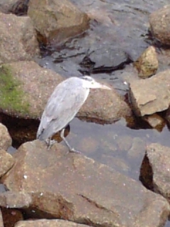 c0168626_2032893.jpg