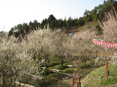 d0139231_843486.jpg