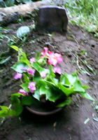 b0090333_16465687.jpg