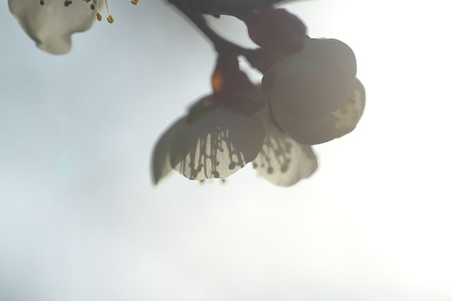 c0067040_22581151.jpg