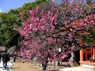 e0176158_21002.jpg