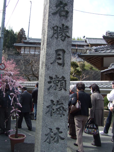 f0144970_6395415.jpg