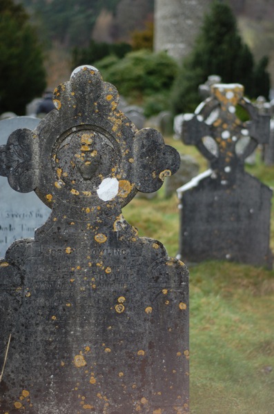 c0164274_65775.jpg