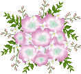 b0136683_11103939.gif