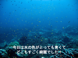 大当たりのシミランクルーズ! しかも体験!!_f0144385_22422056.jpg