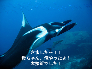 大当たりのシミランクルーズ! しかも体験!!_f0144385_2247014.jpg