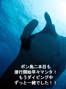大当たりのシミランクルーズ! しかも体験!!_f0144385_22472374.jpg
