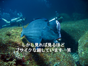 大当たりのシミランクルーズ! しかも体験!!_f0144385_2248186.jpg