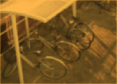 b0123486_20532976.jpg