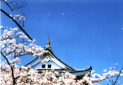 f0155795_23523973.jpg