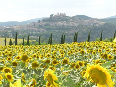 ◆イタリア研修旅行のお知らせ◆_d0147698_11454416.jpg