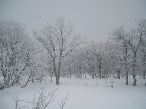 e0083204_0444973.jpg