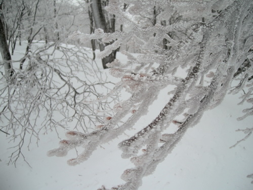 e0083204_0511327.jpg