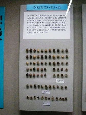 e0148907_043774.jpg