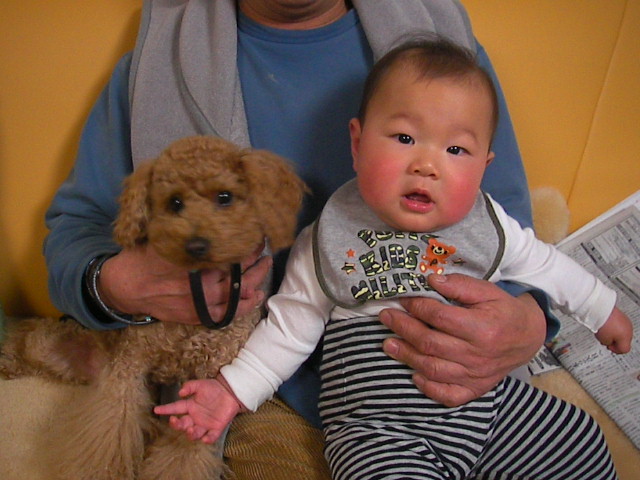 f0038407_8592287.jpg