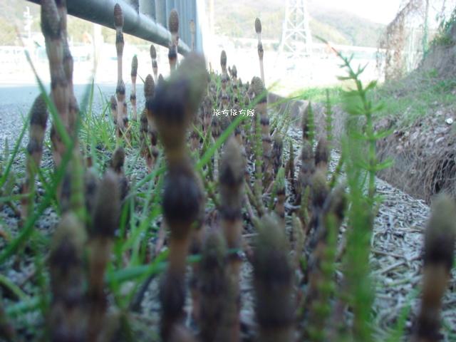 f0151213_17472223.jpg