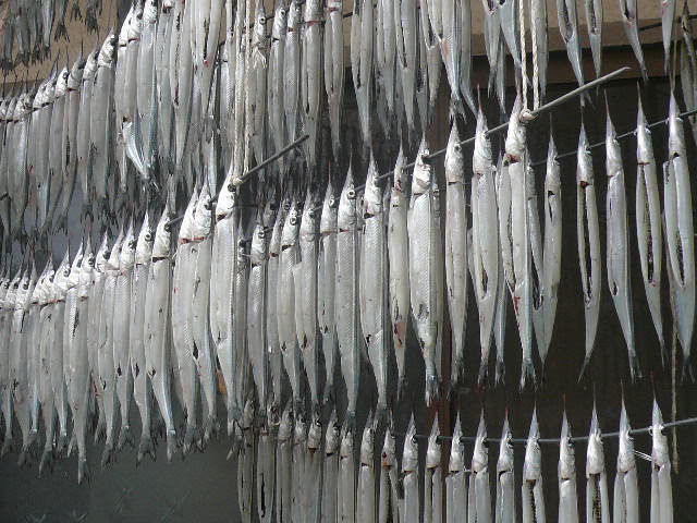 e0026017_14232762.jpg