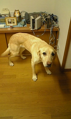 c0114121_2125421.jpg