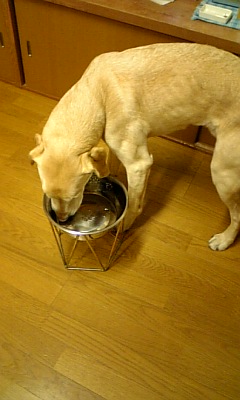 c0114121_2128659.jpg