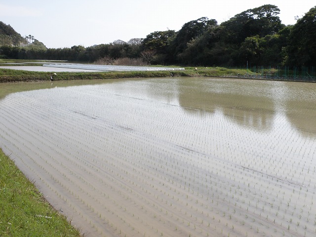 d0007830_10151945.jpg