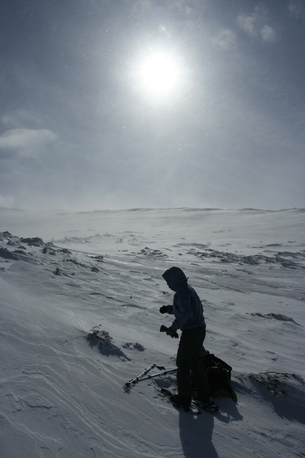 d0147338_0335710.jpg