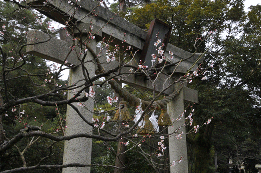 c0093046_740024.gif