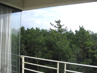 b0025850_23153097.jpg