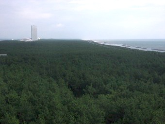 b0025850_2323540.jpg