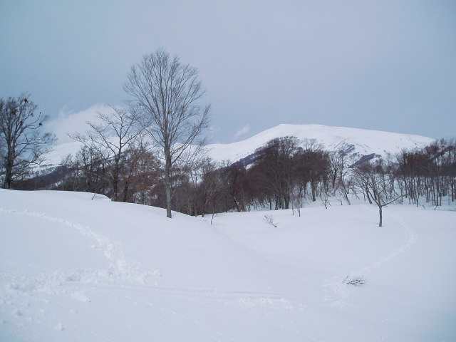 テレマークスキー　バックカントリースキー月山山麓と裏磐梯イェローフォール_f0145963_0263053.jpg