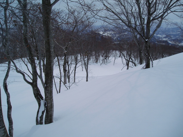 f0145963_03235.jpg