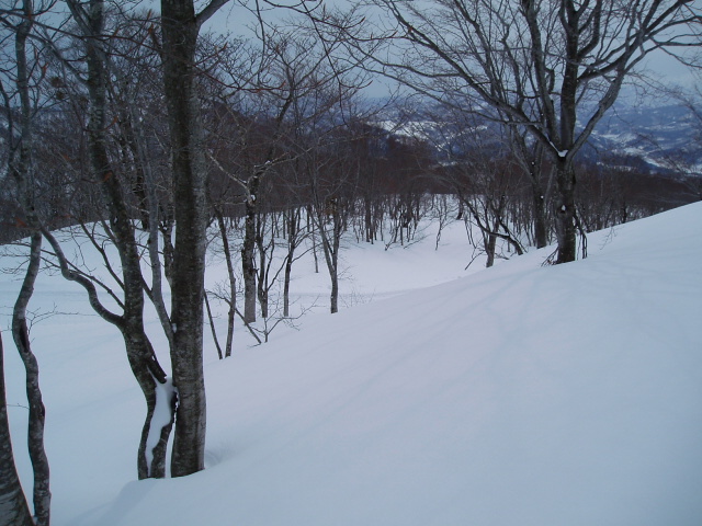 テレマークスキー　バックカントリースキー月山山麓と裏磐梯イェローフォール_f0145963_03235.jpg